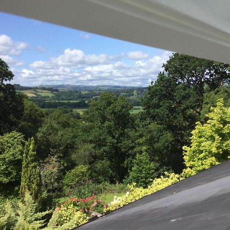 Dwynant - A Room With A View Llangathen Exterior foto