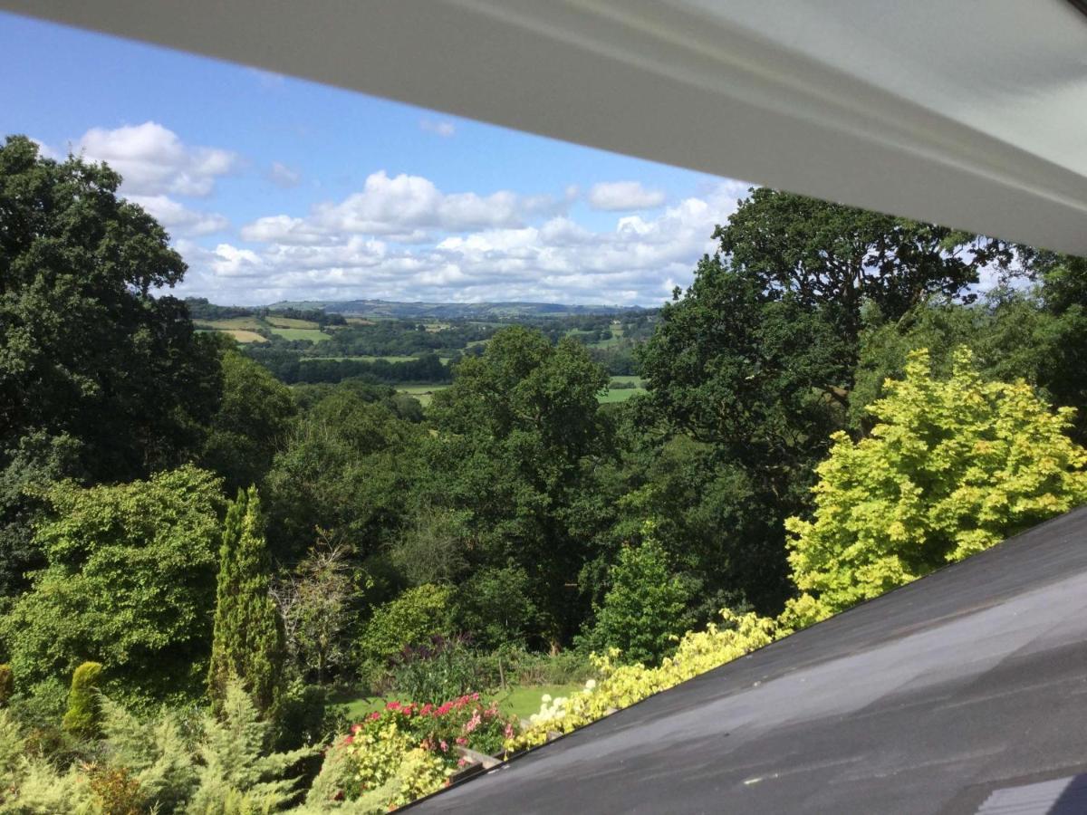 Dwynant - A Room With A View Llangathen Exterior foto