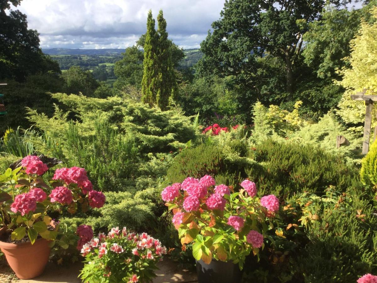 Dwynant - A Room With A View Llangathen Exterior foto