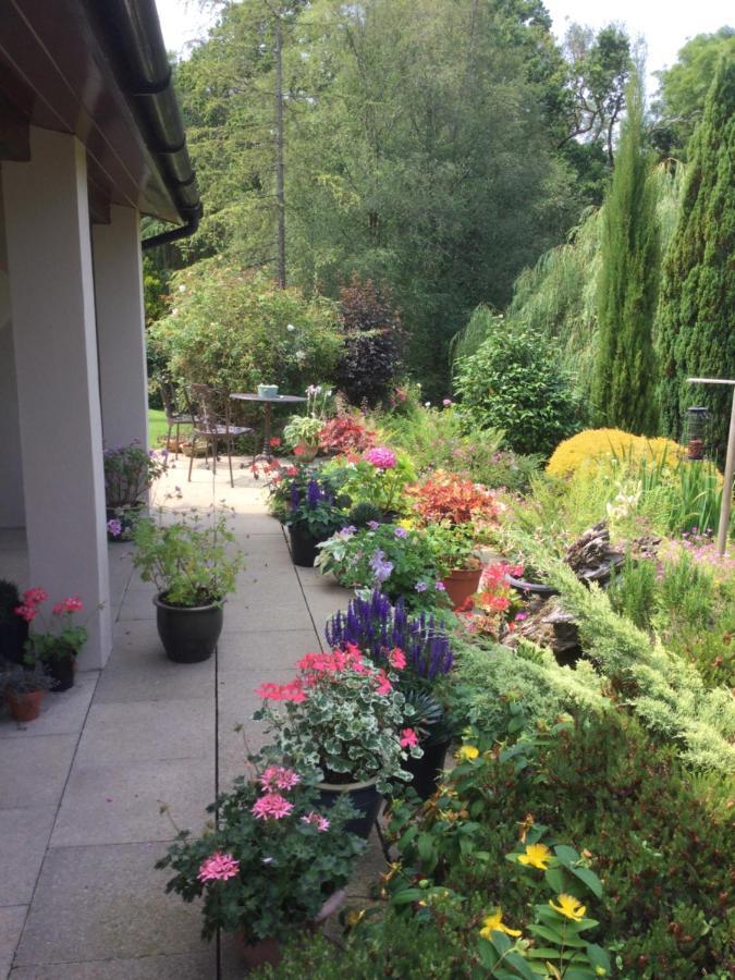 Dwynant - A Room With A View Llangathen Exterior foto