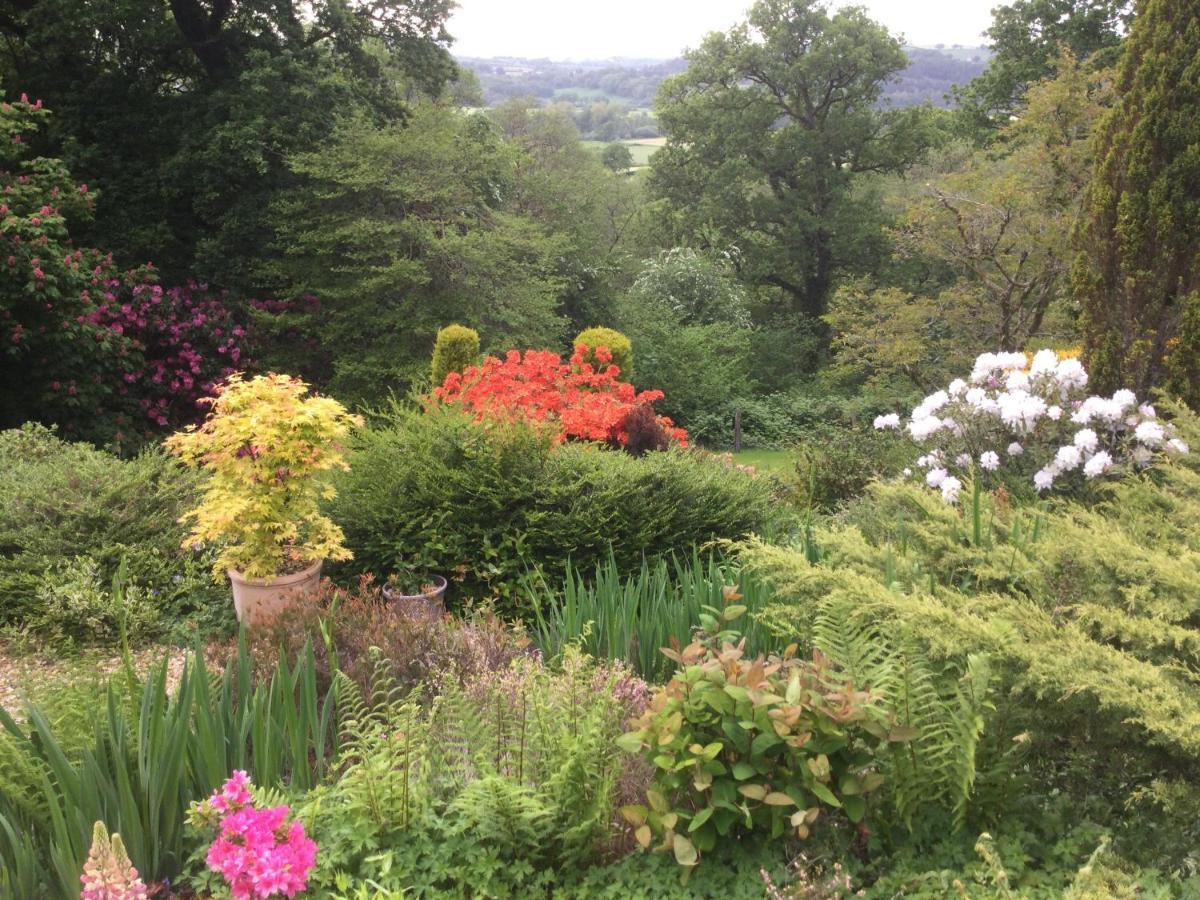 Dwynant - A Room With A View Llangathen Exterior foto